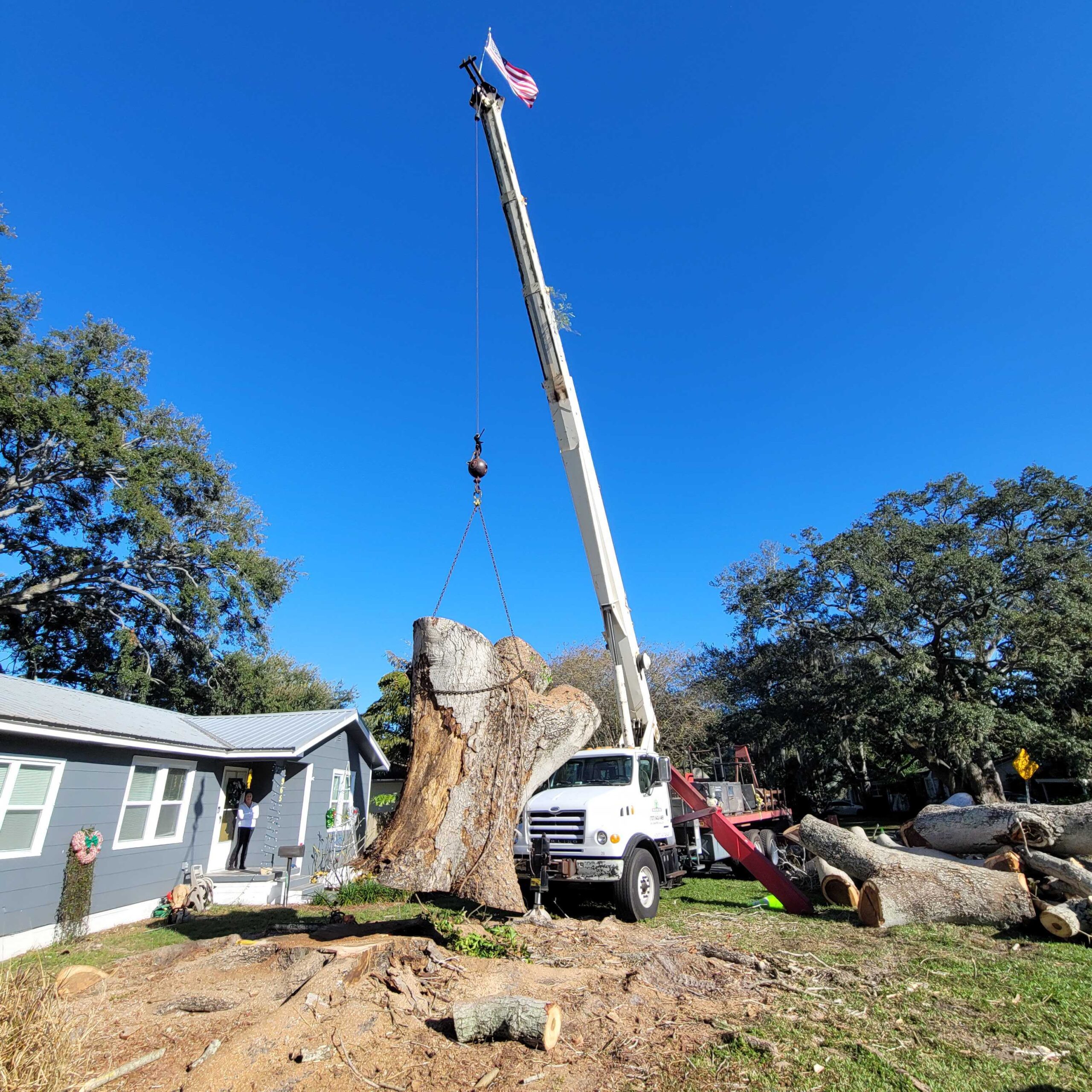 Crane assisted tree removal