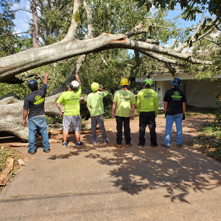 storm cleanup