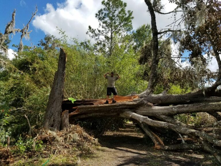storm damage