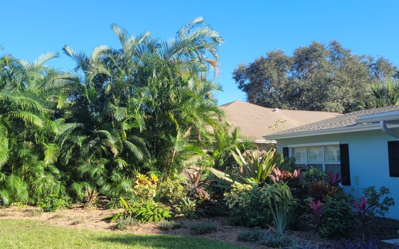 The Environmental Balancing Act